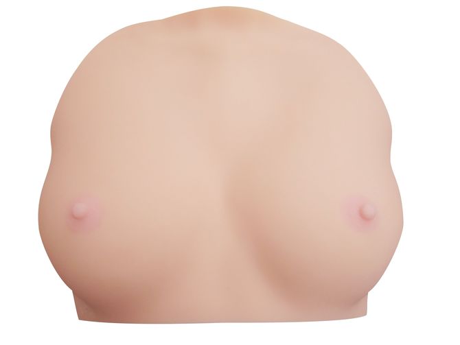 3D로 스캔한 토모다 아야카의 가슴