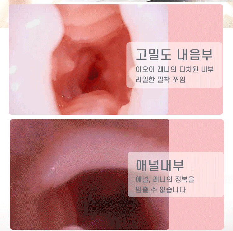 [RENDS] 버추얼 바디 - 아오이 레나 5kg 엉덩이 (3D 입체형)