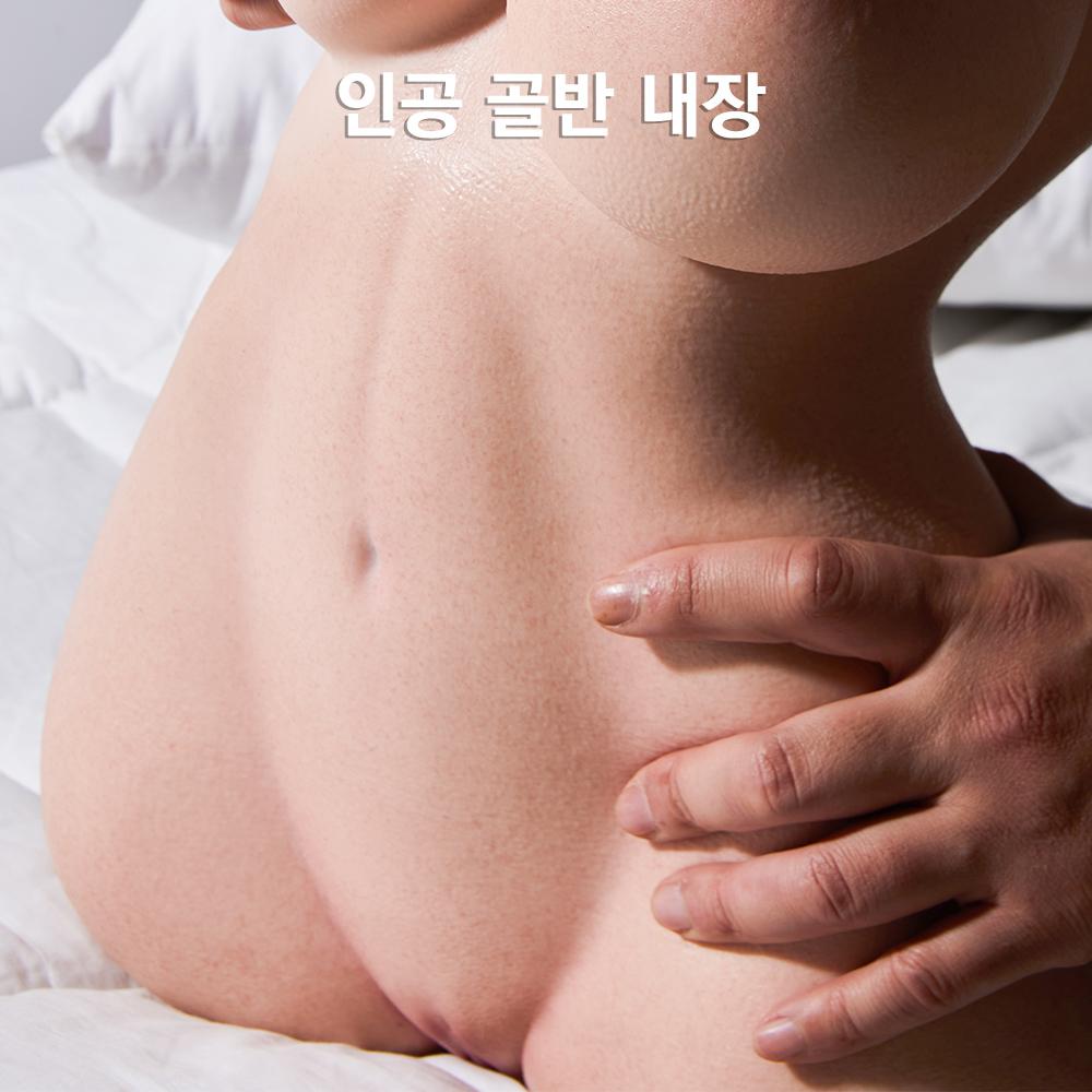 솜이 헤드 + 비너스 11.5kg