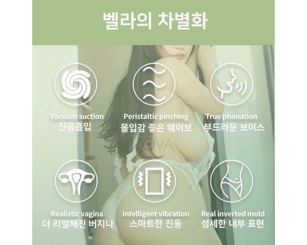 벨라 터치걸 이중홀 대형