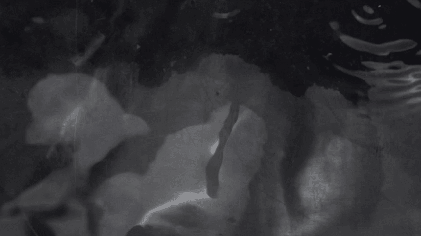 ba284f71e77849af2af62d21930d74b8_1745821736_2011.gif