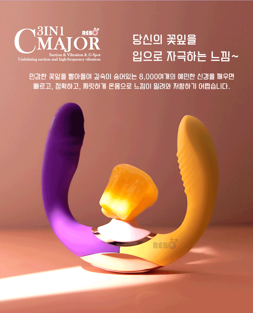 [리보] 씨(C)메이저 3in1