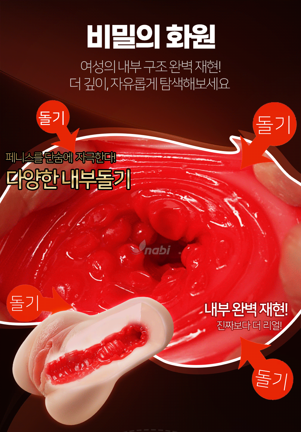 [나비] 비키니 모델 세린