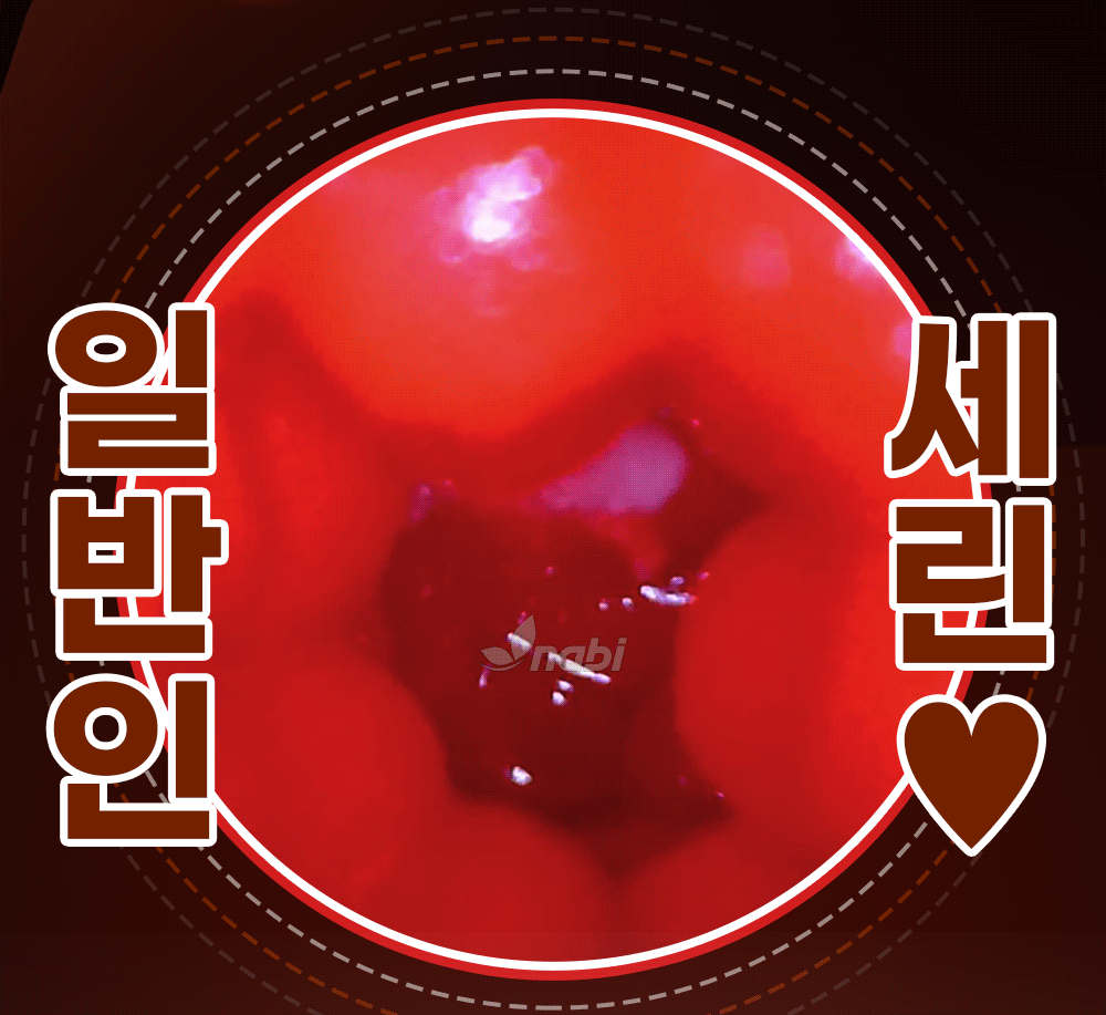 [나비] 비키니 모델 세린