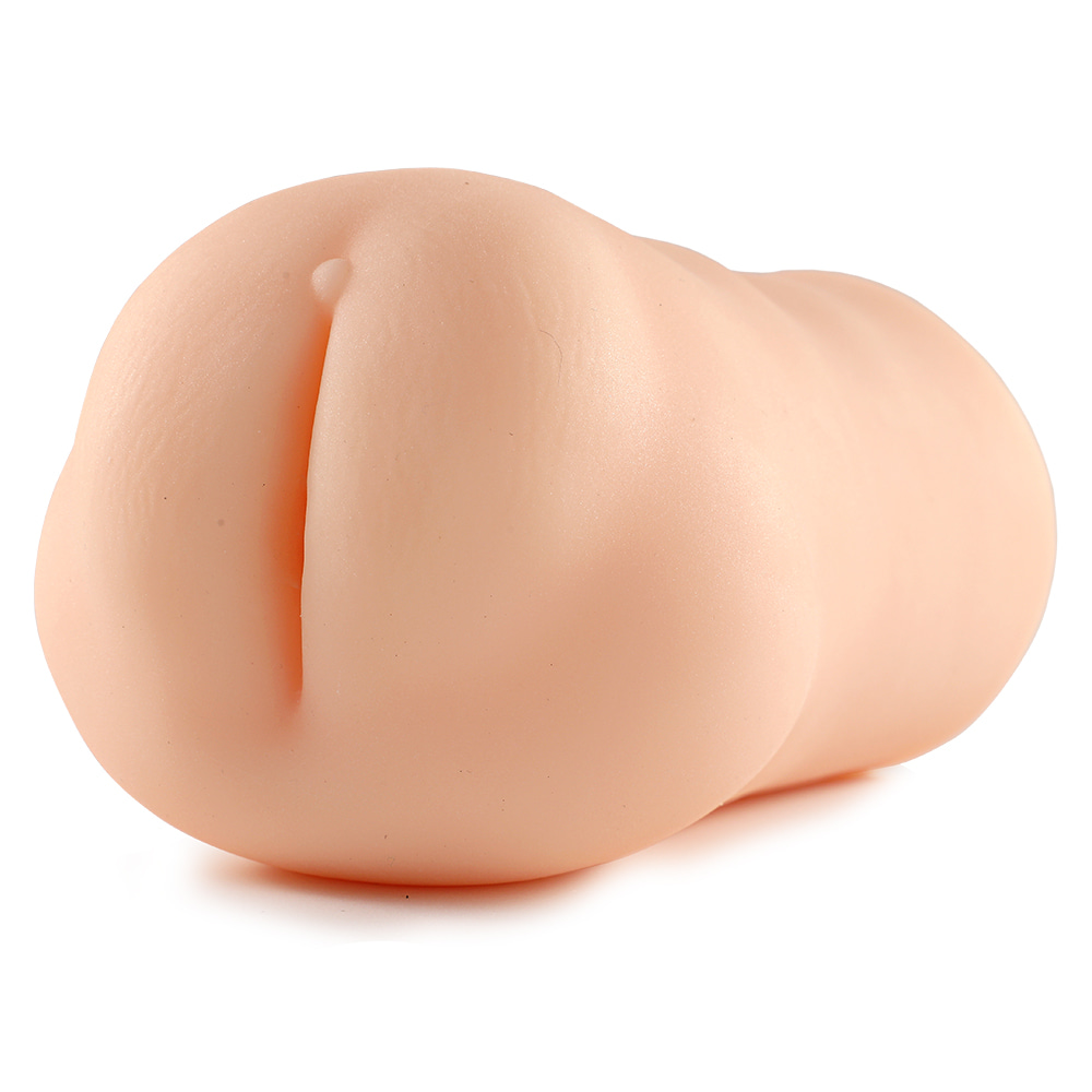 전차 역치한 호시노 에리사