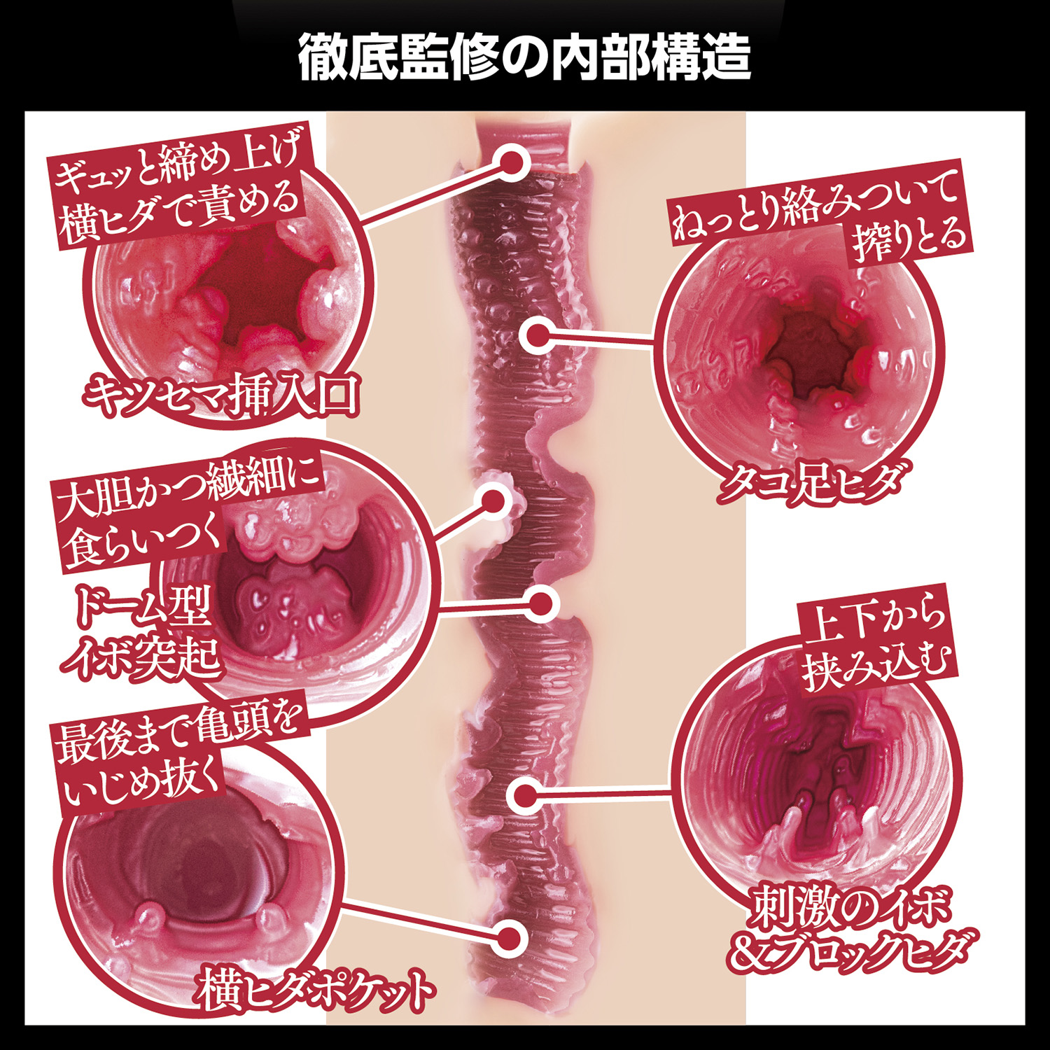 일본의 명기 야마기시 아이카