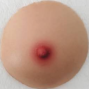 파이즈리 커스텀 패드