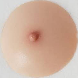 파이즈리 커스텀 패드