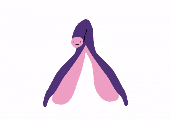 위바이브 디토+  We-Vibe Ditto+