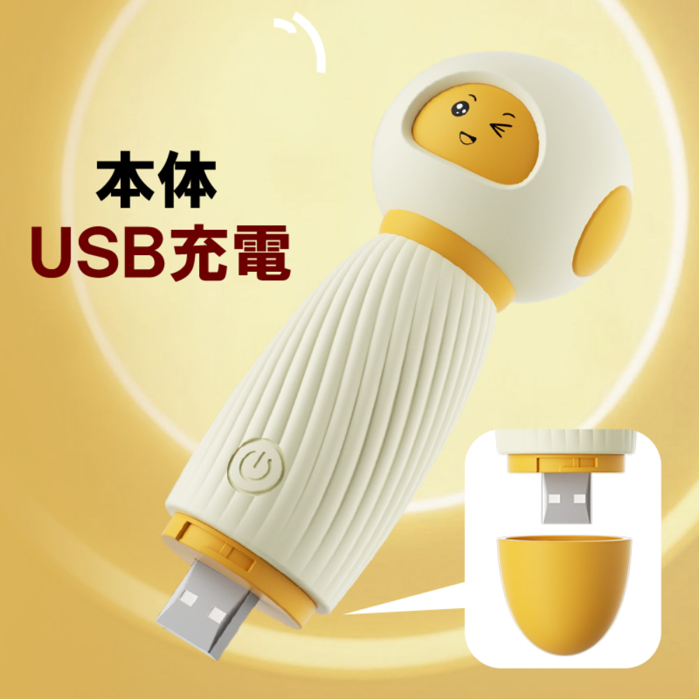 GS 덴마 (일본정품)