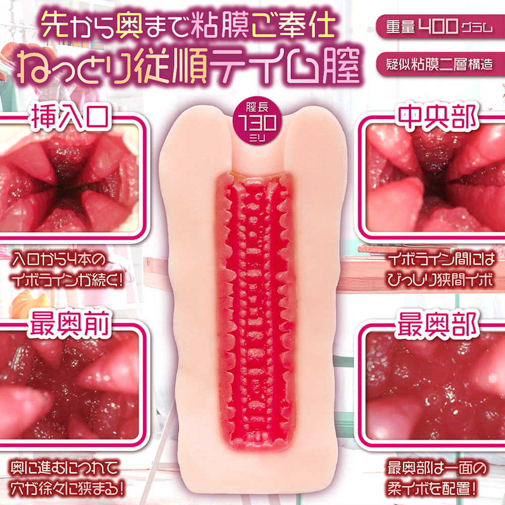 츤데레 메이드를 길들였다!