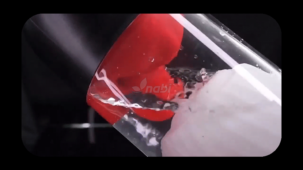 [NABI] 스핀 힛 마스터베이션 컵 (회전/릭킹/10단진동/수중플레이)