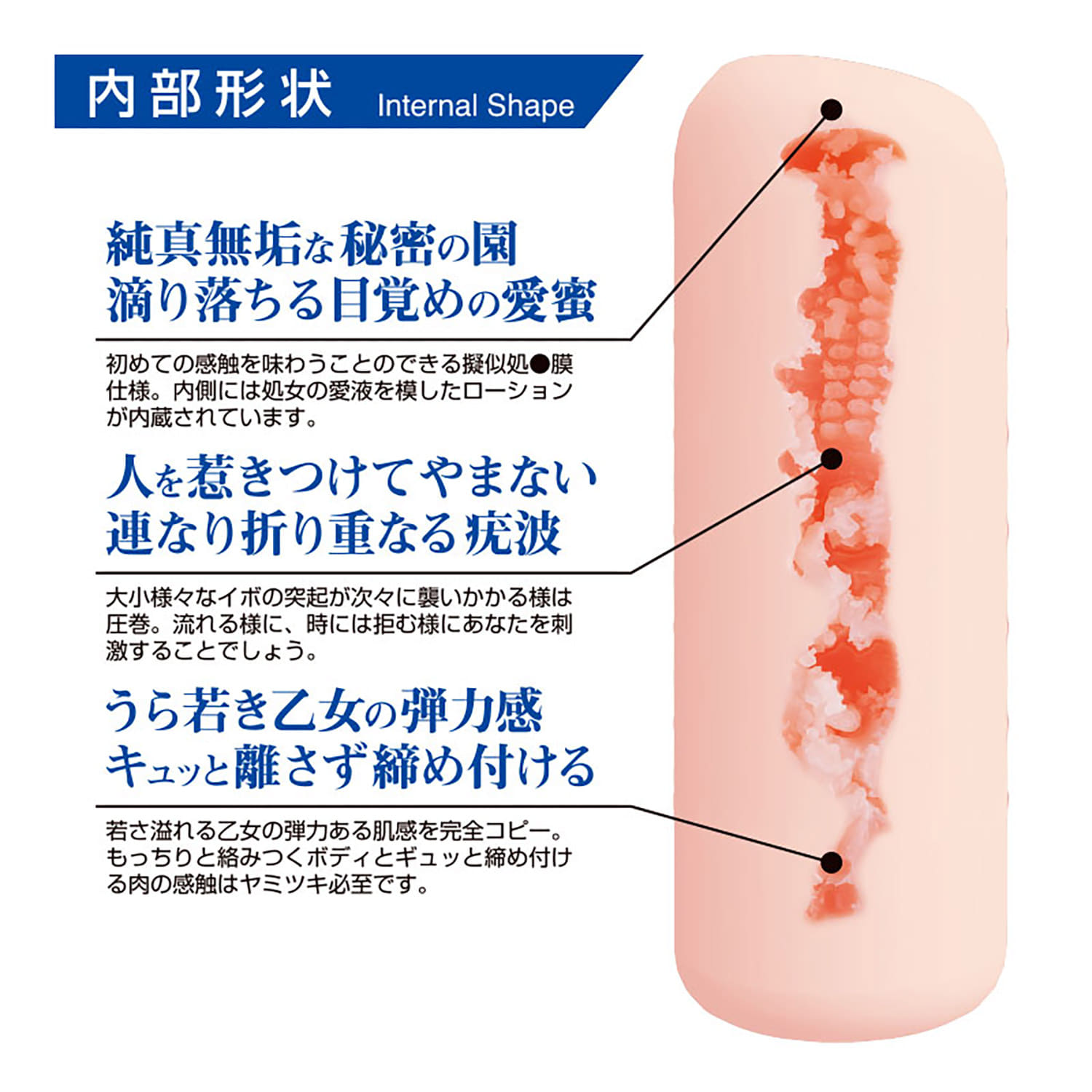 360도 페티시 더 버진 홀 거리의 소녀 코사메