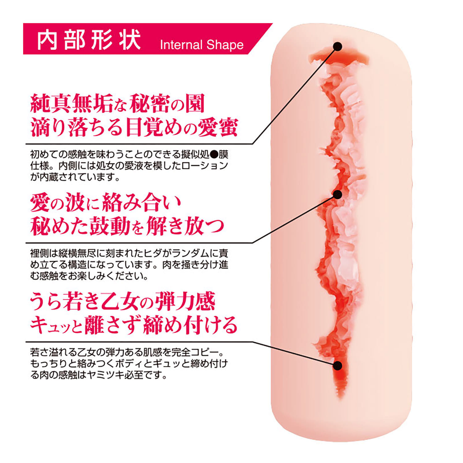 360도 페티시 더 버진 홀 거리의 소녀 츠보미