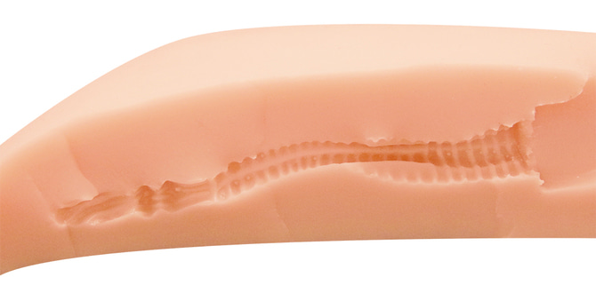 폭신 밀착 일루전