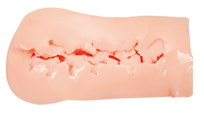 케모미미녀와 꿈처럼 포근한 슬로우 라이프 후와리