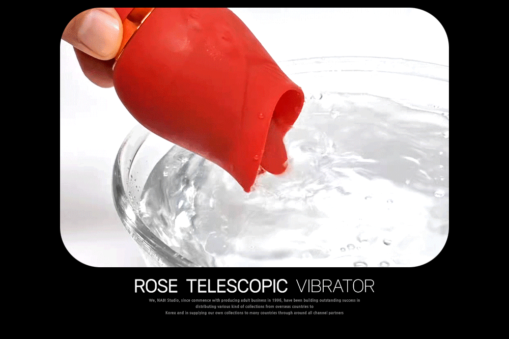 [NABI] 로즈 텔레코스픽 바이브 (10단 롤링피스톤/릭킹)