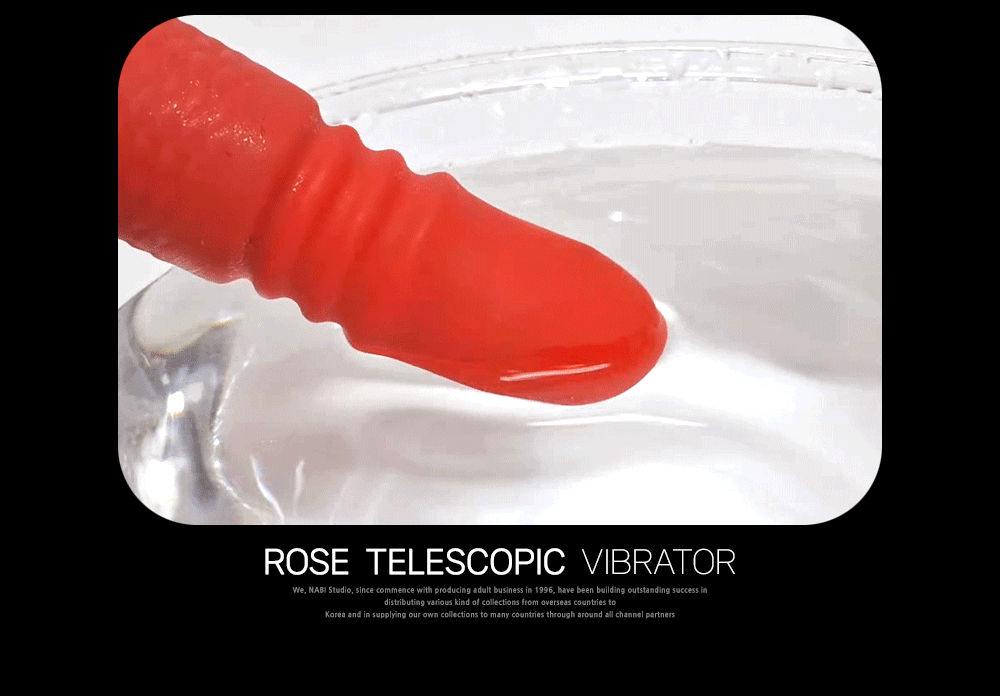 [NABI] 로즈 텔레코스픽 바이브 (10단 롤링피스톤/릭킹)
