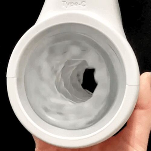 푸니아나 로이드 R (일본정품)