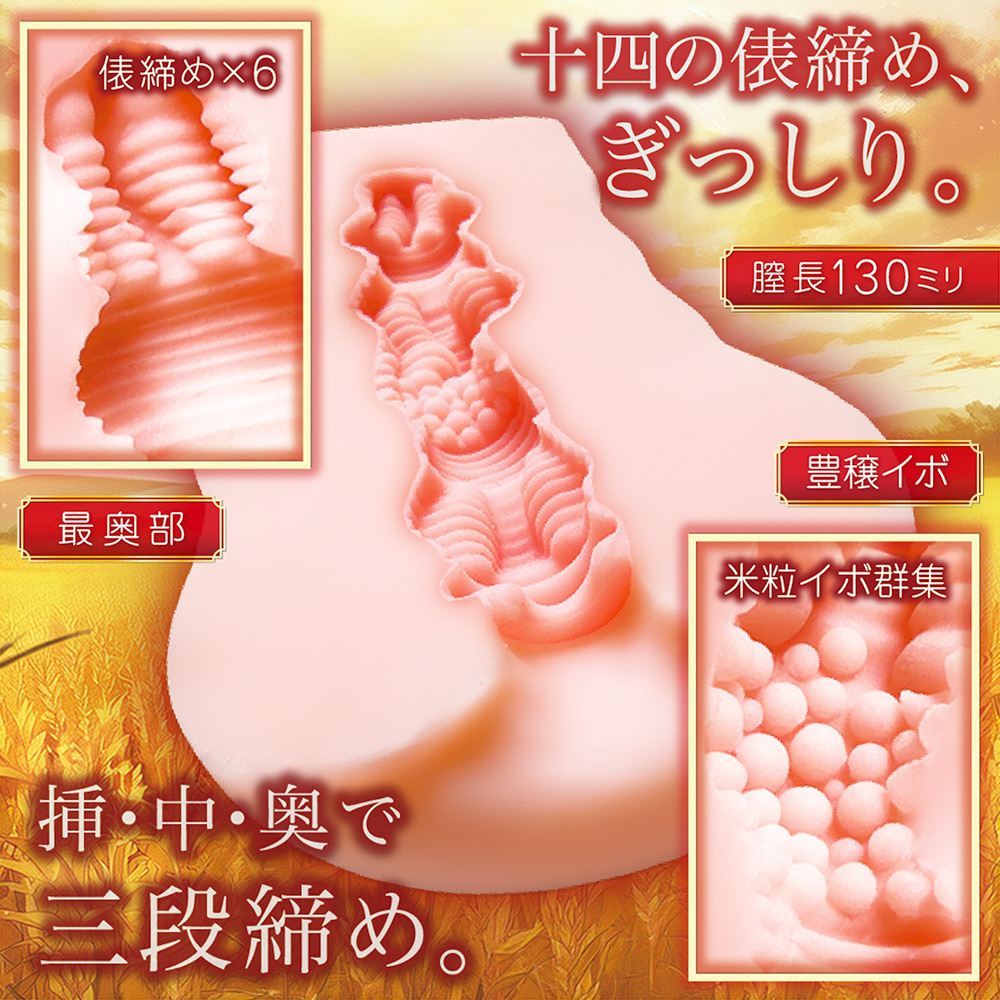 타와라지메 하베스트