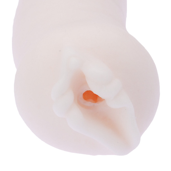 후와포차 롱 토로리나