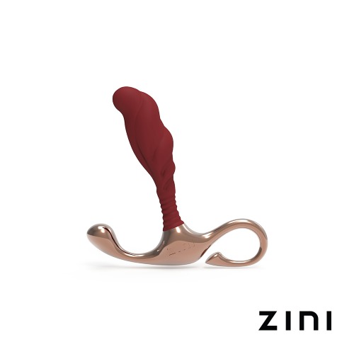 [ZINI] 지니 야누스 램프 아이언 전립선 자극기 (Re-Branded ZINI)