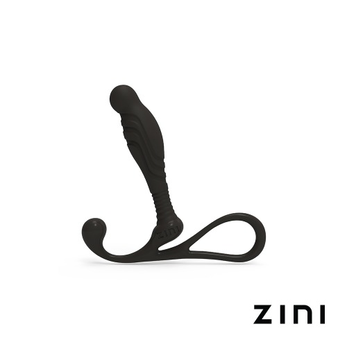 지니 야누스 안티쇼크 전립선 자극기 (Re-Branded ZINI)
