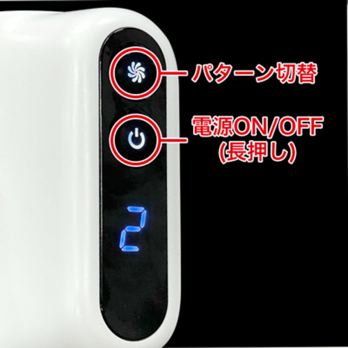 푸니아나 로이드 R (일본정품)