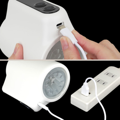 푸니아나 로이드 R (일본정품)