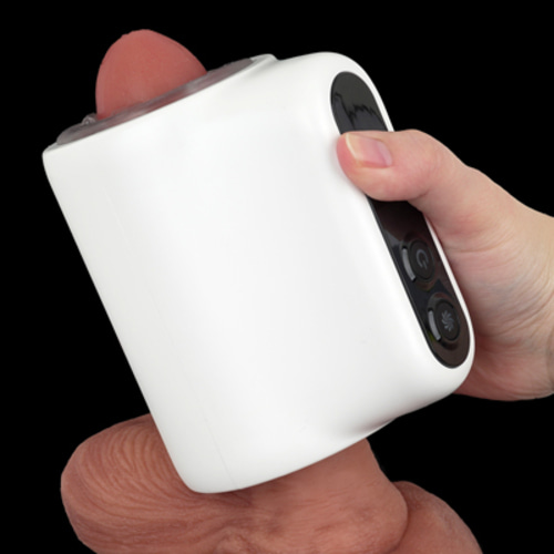 푸니아나 로이드 R (일본정품)