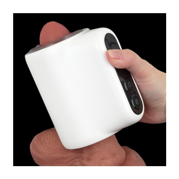 푸니아나 로이드 R (일본정품)