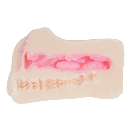 극상 명기 홀 인! 육덕&밀착&흡입