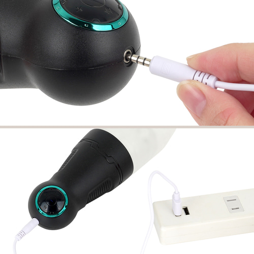 푸니아나 로이드 R2 (일본정품)