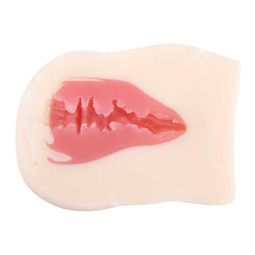 미니 극상 생 엉덩이 마츠모토 이치카 리뉴얼