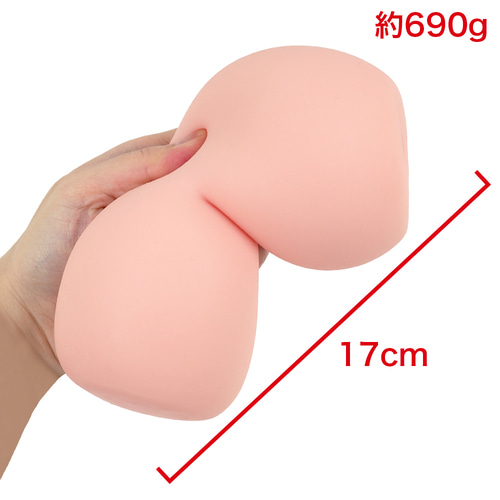 미타라시 질 단층 그물망