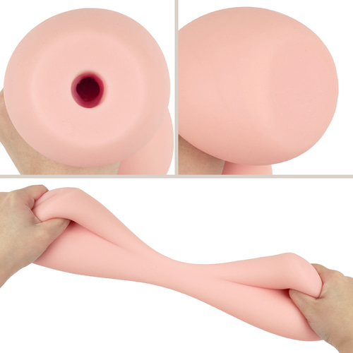 미타라시 질 단층 그물망