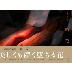 타카하시 신야 작품집 - 타화