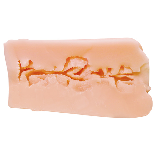 젖어 비치는 거유 여사제의 극상명기