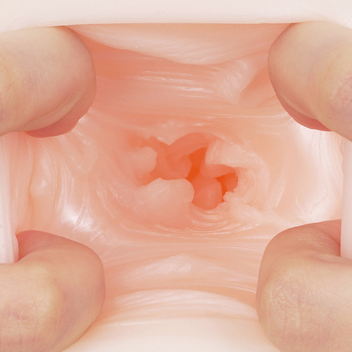 우네히다 파이 바운드