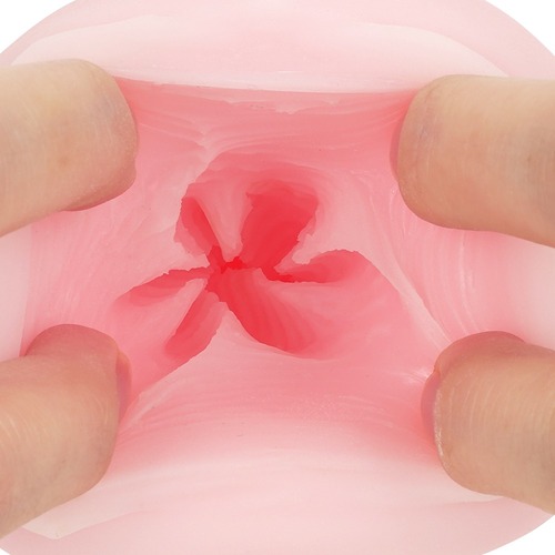 연속 자궁 세포 인 유테로