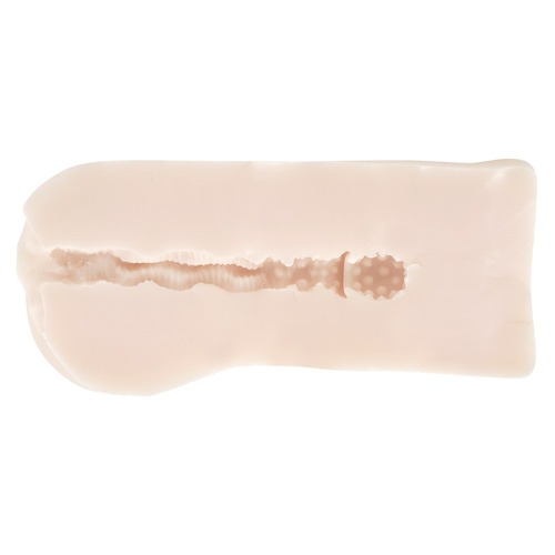 암고양이 서번트