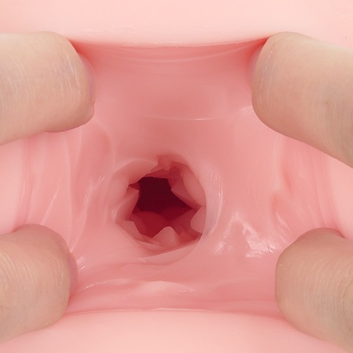 케모홀 소프트 케모미미 리플렉! 네코하 카린