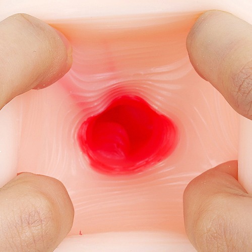 전차 역치한 호시노 에리사