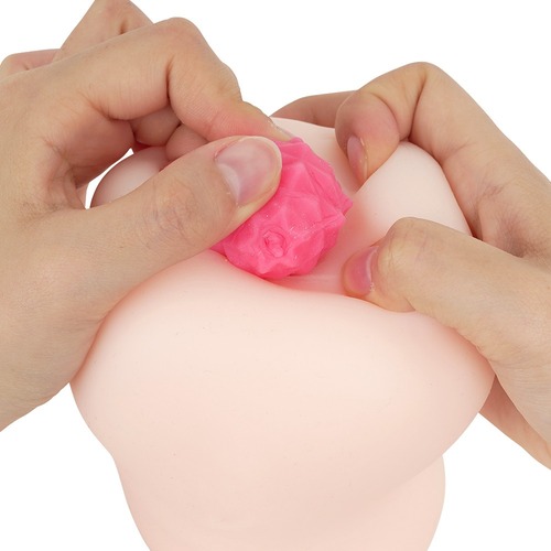 전차 역치한 호시노 에리사