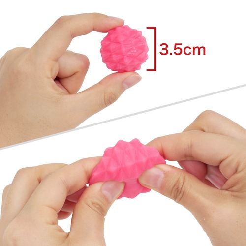 전차 역치한 호시노 에리사