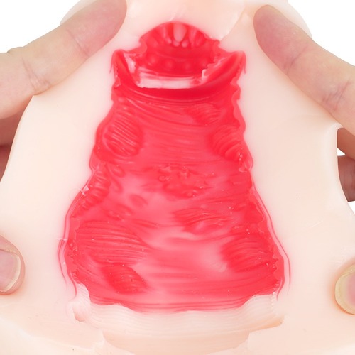 전차 역치한 호시노 에리사