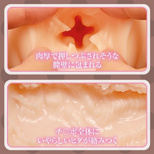 슈챠쿠텐 더 홀