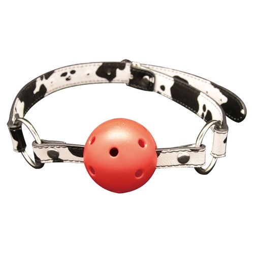 얼룩소 SM 구속 5종 세트 (일본정품)