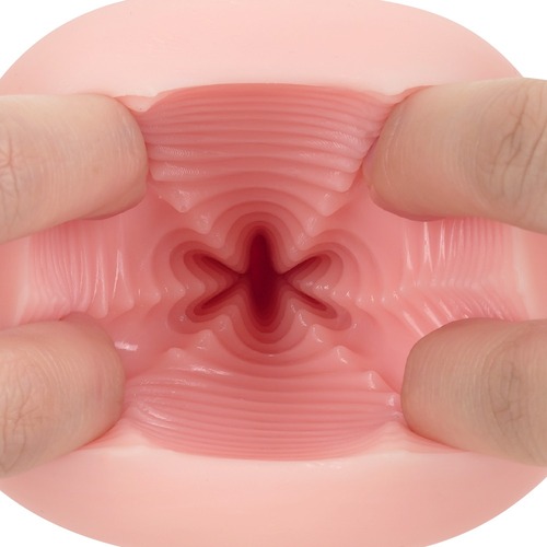 더 마이스터 클래식 스탠다드