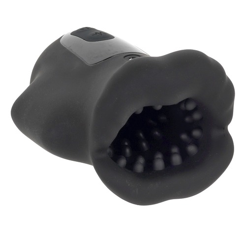 푸니아나 로이드 트레이닝 2